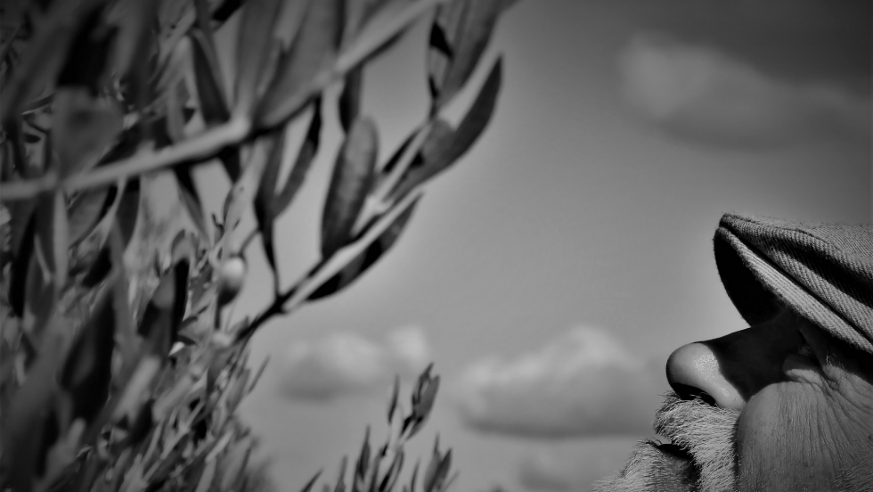 Otvorenje izložbe "Volim svoju županiju" 2018.