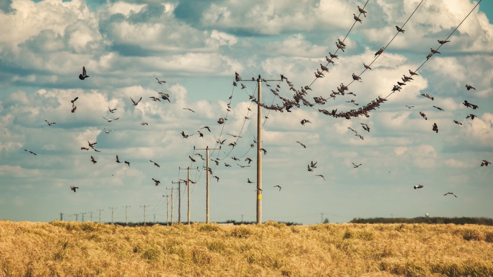 Otvaranje izložbe "Volim svoju županiju" u Šibeniku