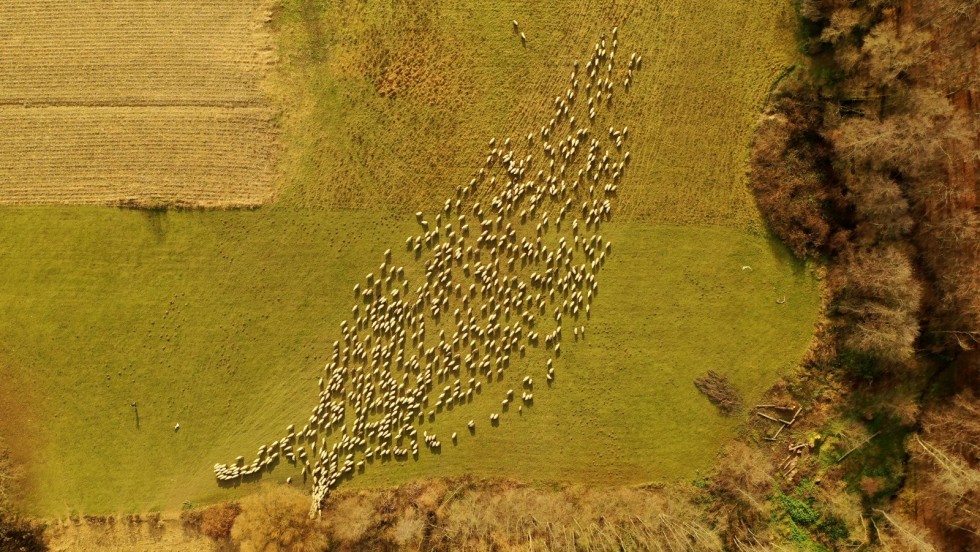 WEBINAR: Komunalna naknada-ujednačavanje prakse drugostupanjskih tijela