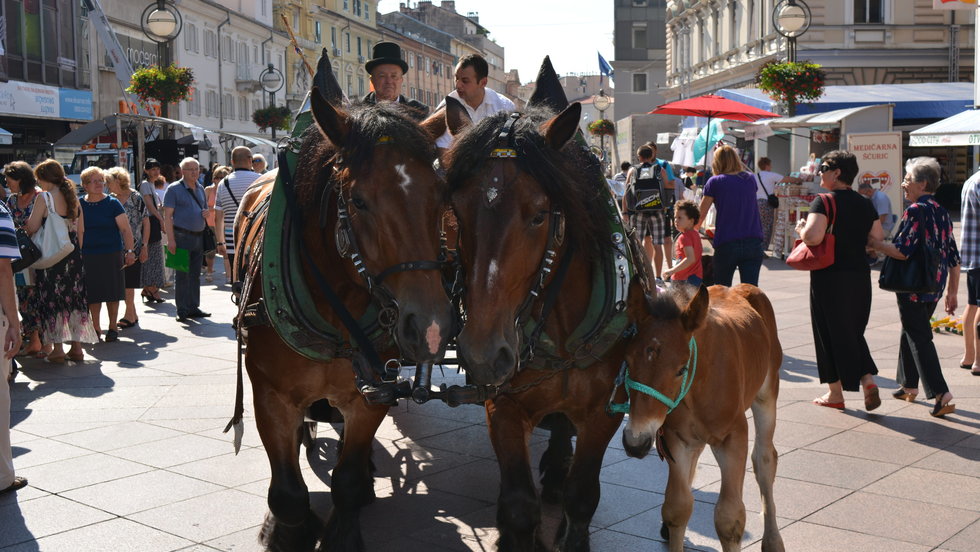 Manifestacija „100% ZAGORSKO“ ponovno u Rijeci