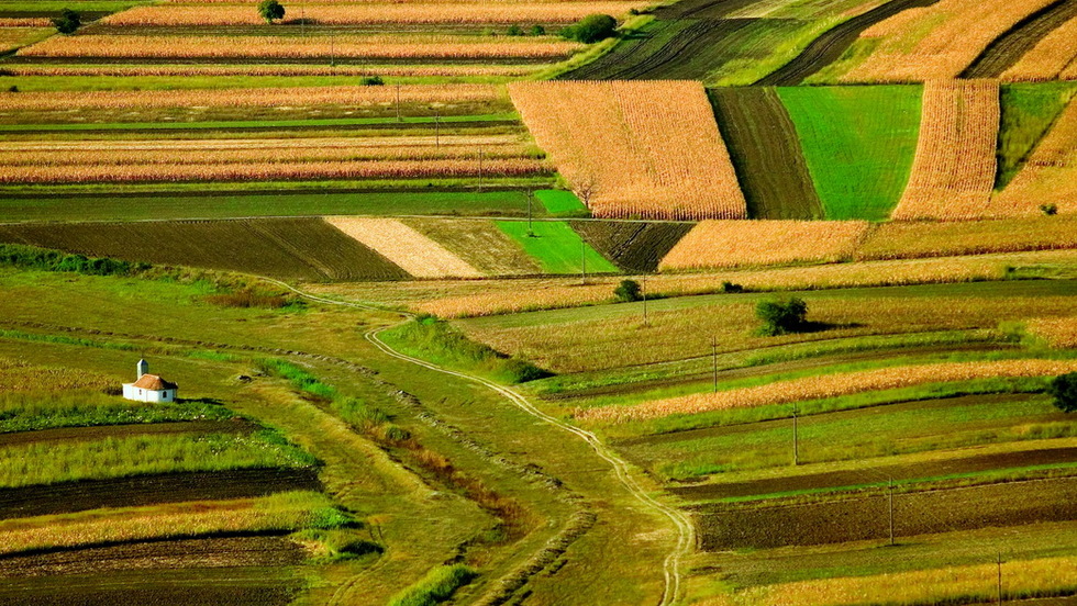 Otvoren natječaj za najboljeg mladog poljoprivrednika/cu EU