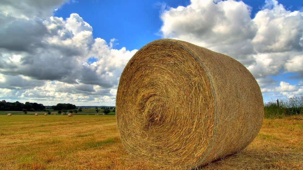 Tematska sjednica o implementaciji Programa ruralnog razvoja Republike Hrvatske