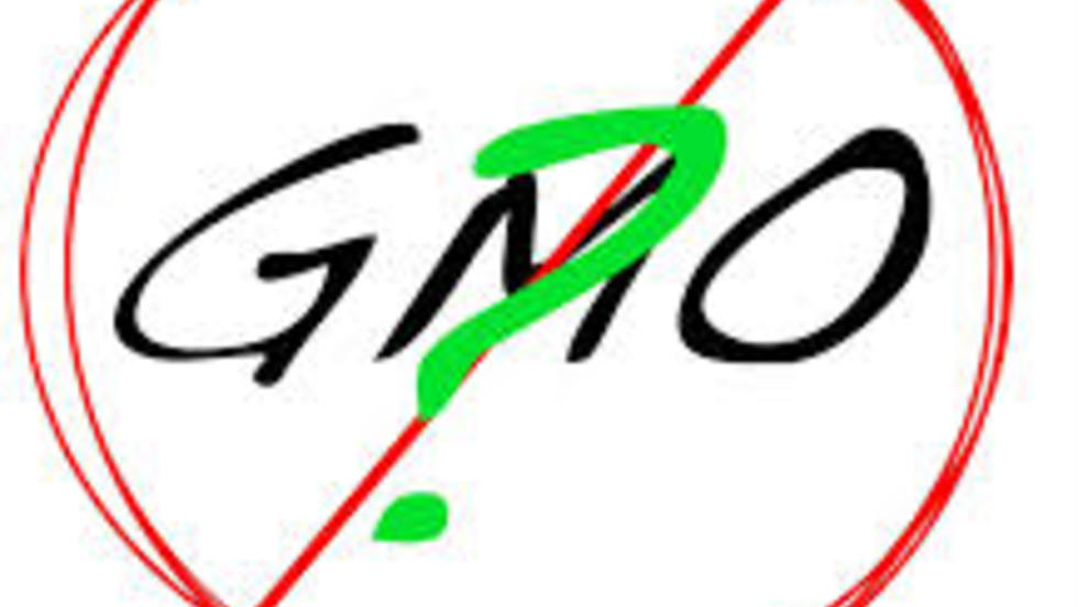 Preispitivanje postupaka odlučivanja o GMO-u