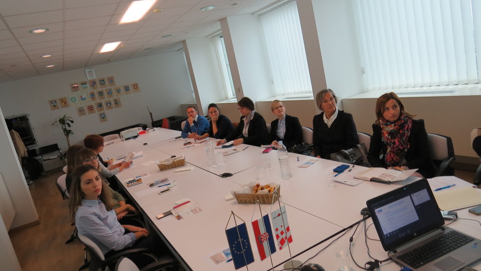 Predstavnici u radnim skupinama EU projekta LADDER izabrali svoje voditelje