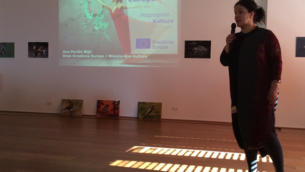 Održan prvi Dan kreativnosti u Istarskoj županiji