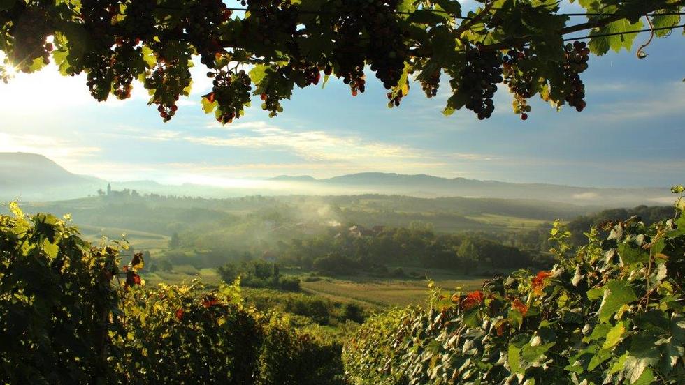 Proglašenje pobjednika fotonatječaja "Bajka na dlanu"