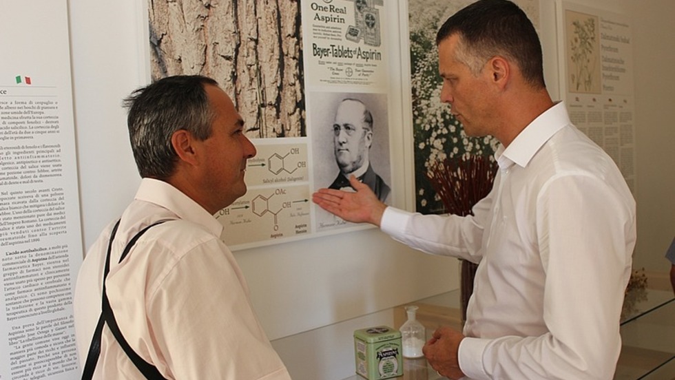 Održana sjednica Savjeta za gospodarstvo Istarske županije