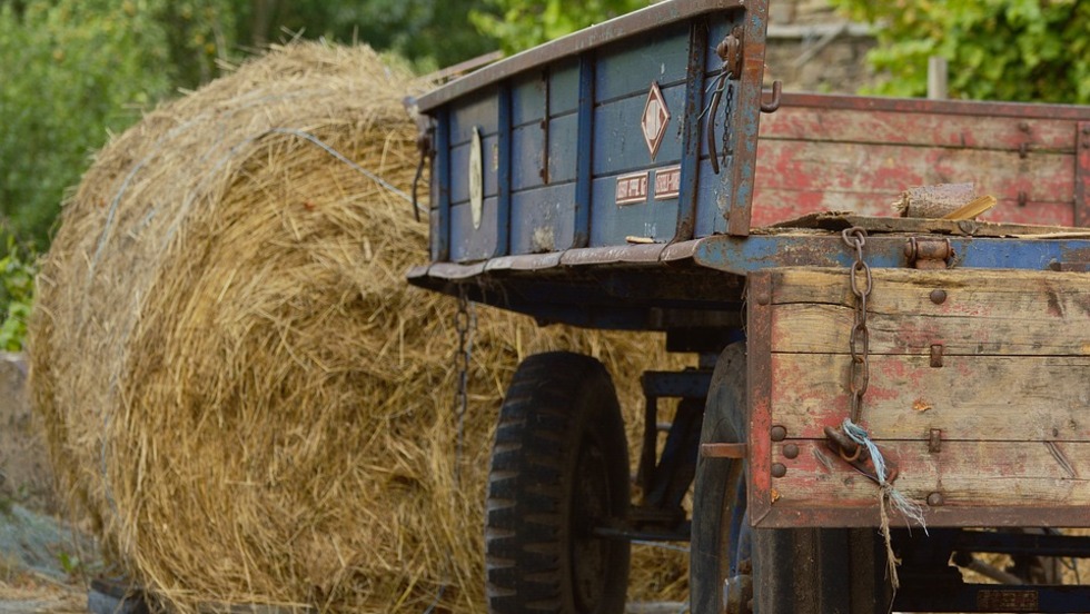 Danas proglašenje najboljeg hrvatskog obiteljskog poljoprivrednog gospodarstva - OPG-a