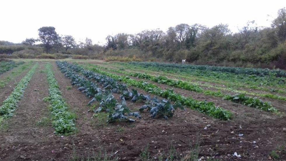 Obilježen Svjetski dan beskućnika u Zadarskoj županiji