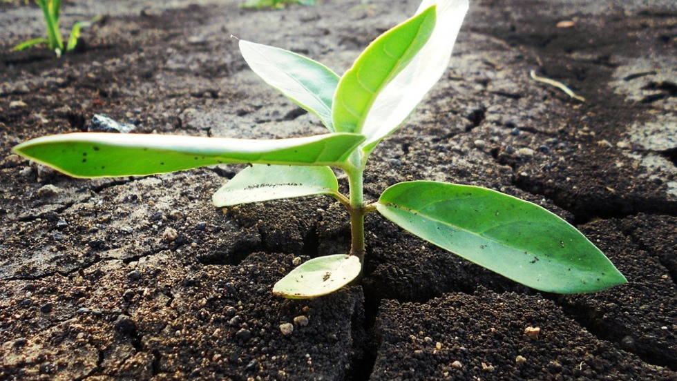 Okrugli stol „Razvoj lokalne zajednice kroz EU fondove i poljoprivredu“