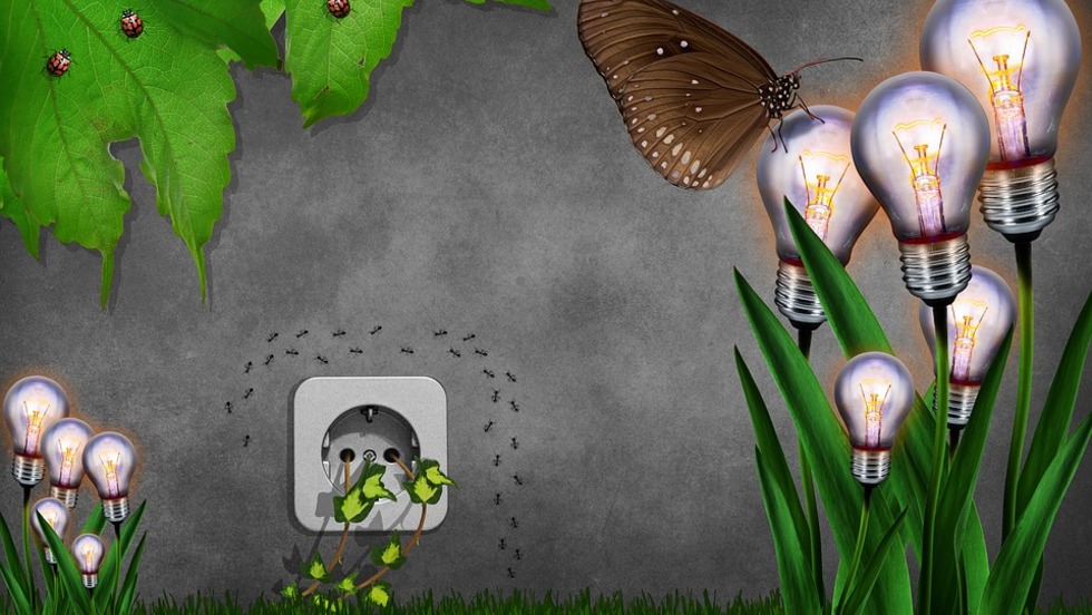 Istarska županija dodjeljuje markice EcoDomus