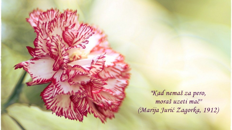 Čestitka predsjednika Pauka povodom Međunarodnog dana žena