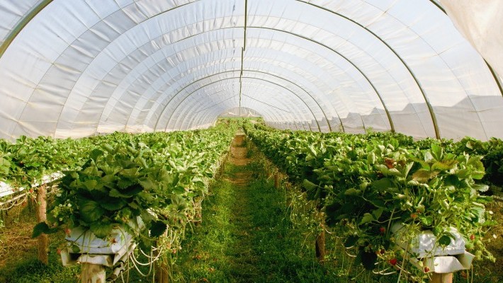 Poljoprivrednim školama 5 milijuna kuna za modernizaciju obrazovnih programa