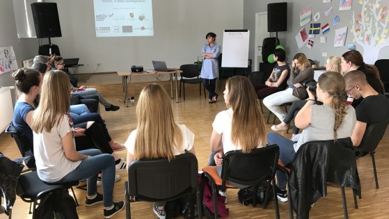 Projekt LADDER: Osvrt na mikroprojekt "So young, so equal"