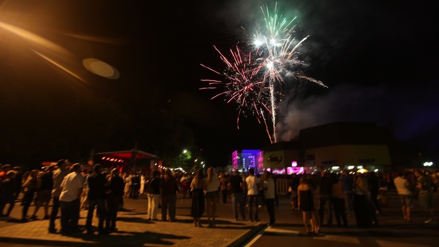 Virovitičko-podravska županija obilježila svoj dan