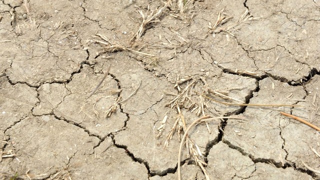 Elementarne nepogode u nekoliko županija