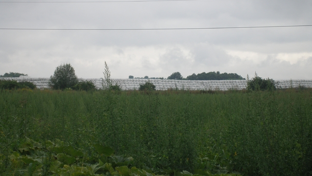 Edukativna radionica u Varaždinu – kako uspješno komunicirati gospodarenje otpadom i zaštitu okoliša?