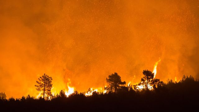 Veliki požari pogodili četiri hrvatske županije