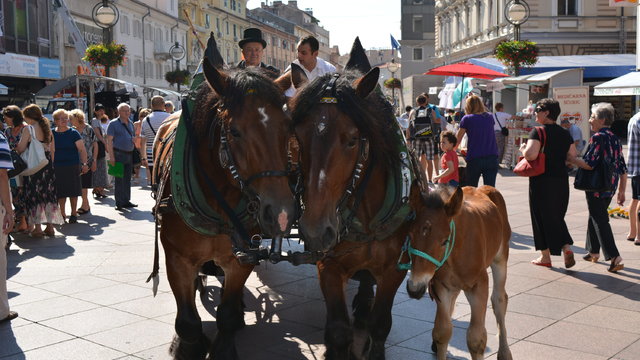 Manifestacija „100% ZAGORSKO“ ponovno u Rijeci