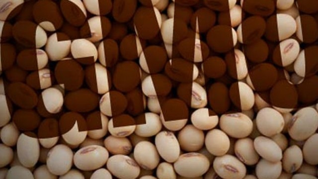 U Saboru rasprava o preispitivanju postupaka odlučivanja o GMO-u