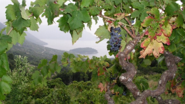 Dubrovačko-neretvanska županija potpisala sporazum s vinarskim zadrugama o novoj marki vina