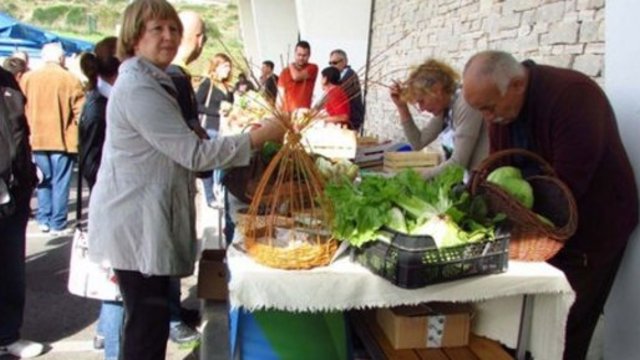 Projekt seljačke tržnice Zadarske županije UNDP uvrstio na listu najdojmljivijih