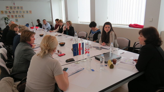 Članovi Radne skupine za zdravstvo i socijalnu skrb o decentraliziranim sredstvima