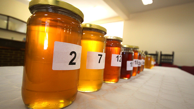 Sjajna vijest za pčelare iz šest županija: „Slavonski med“ dobiva oznaku izvornosti