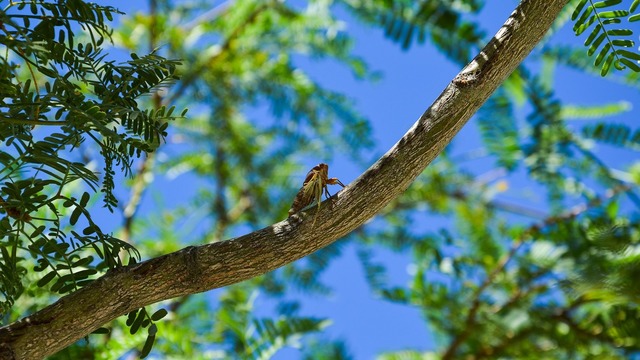 Zajednica dala mišljenje na Sporazum o suradnji u provedbi projekta vezanog za ekološku mrežu Natura 2000