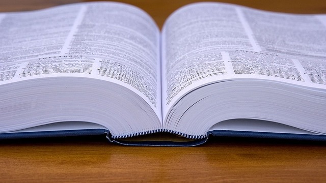 Predstavljanje Priručnika za provedbu savjetovanja za jedinice lokalne i područne (regionalne) samouprave