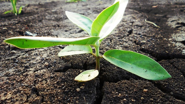 Okrugli stol „Razvoj lokalne zajednice kroz EU fondove i poljoprivredu“