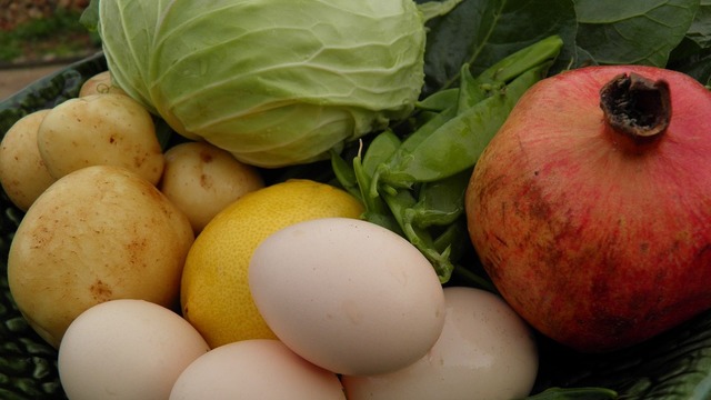 Nova školska shema – besplatni obroci voća, povrća i mlijeka učenicima osnovnih i srednjih škola