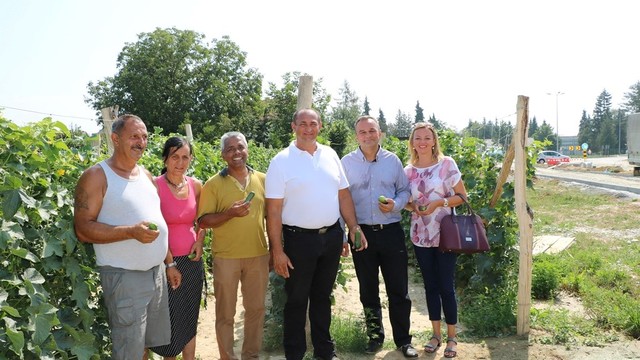 Udruga Roma „Korak po korak“ uspješna u proizvodnji krastavaca