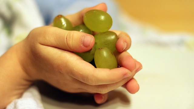 Objavljen Vodič za škole o provedbi školske sheme u  školskoj godini 2017./2018.