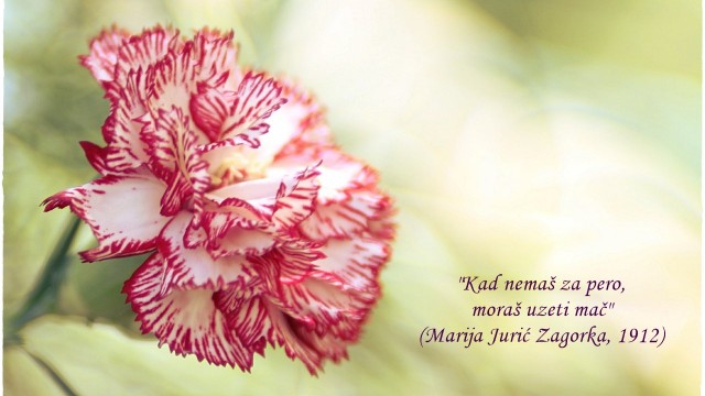 Čestitka predsjednika Pauka povodom Međunarodnog dana žena