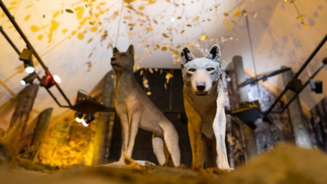 Najbolji EU projekt 2023: Centrom o velikim zvijerima do očuvanja bioraznolikosti i prepoznatljivosti Gorskog kotara