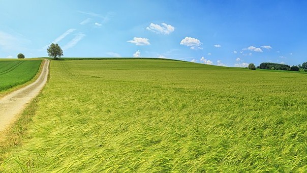 Mjere za poljoprivrednike: Bjelovarsko-bilogorska i Brodsko-posavska županija